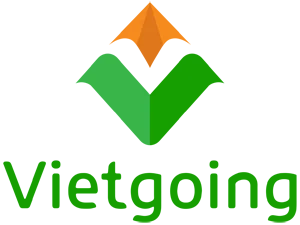 Vietgoing.com